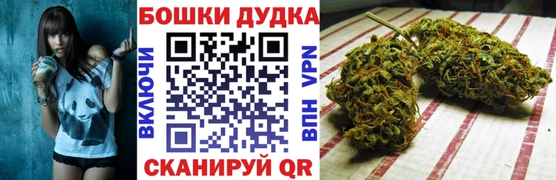 Бошки Шишки Bruce Banner  Купить закладки  Астрахань 